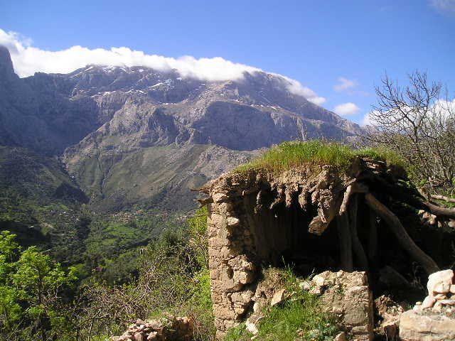 Image de diapositive