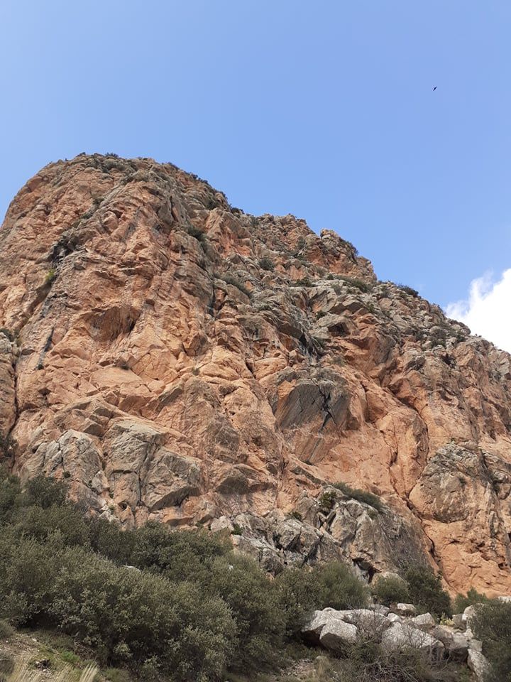 Image de diapositive