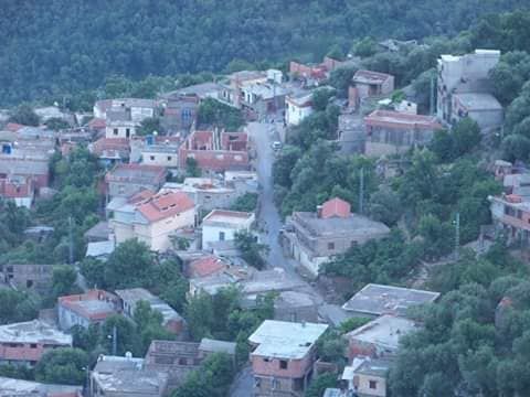 Odoo- Echantillon n° 3 pour trois colonnes