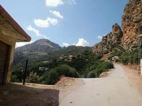 Image de diapositive