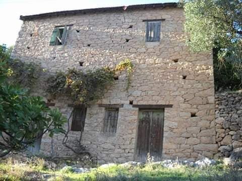 Image de diapositive