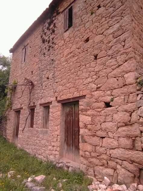 Image de diapositive