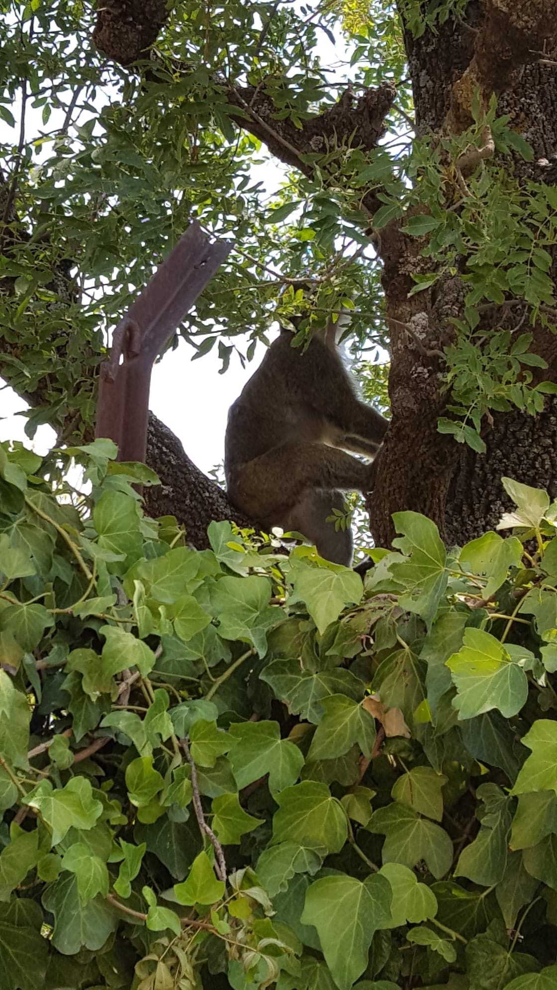 Image de diapositive