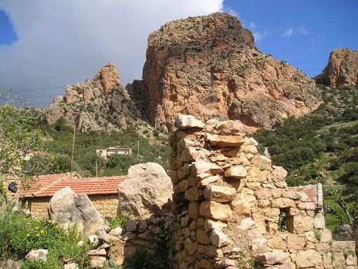 Odoo- Echantillon n° 3 pour trois colonnes