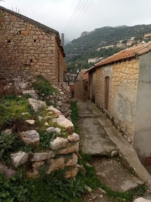 Image de diapositive