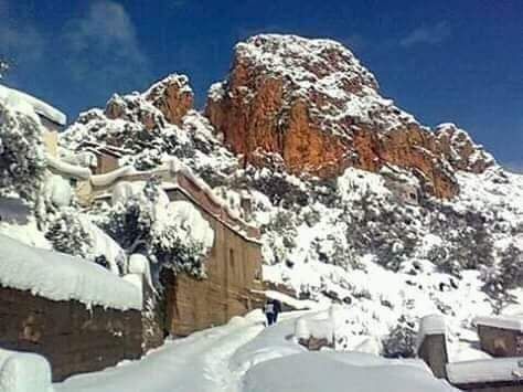 Odoo- Echantillon n° 3 pour trois colonnes