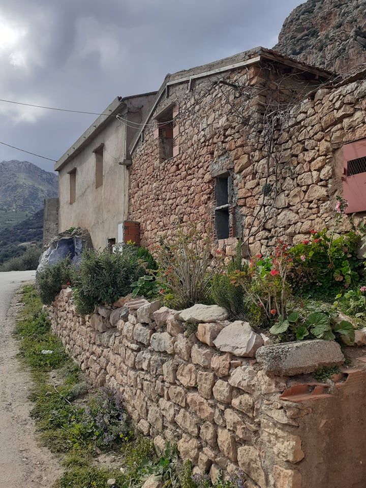 Image de diapositive