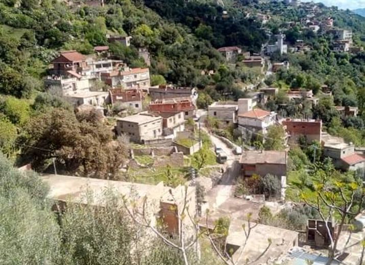 Odoo- Echantillon n° 3 pour trois colonnes