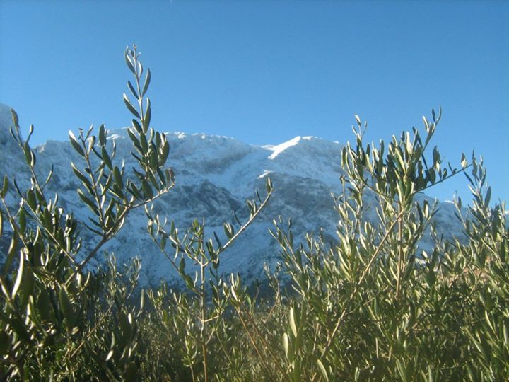 Image de diapositive