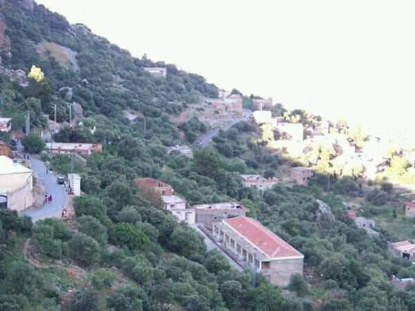 Odoo- Echantillon n° 3 pour trois colonnes