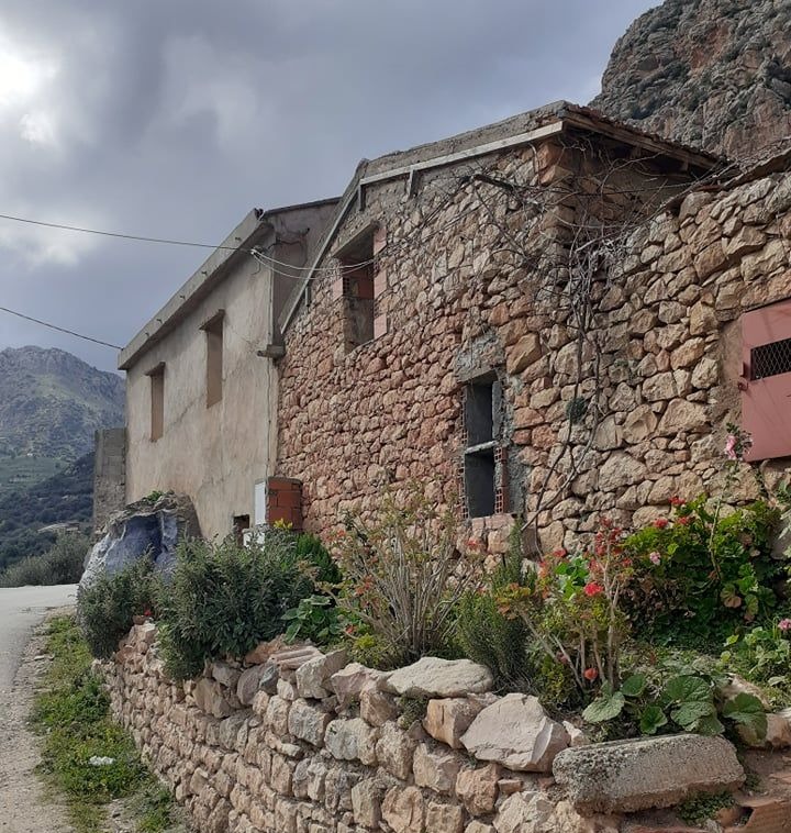 Odoo - Echantillon n°1 pour trois colonnes 