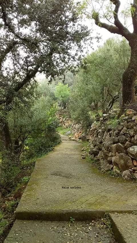 Image de diapositive